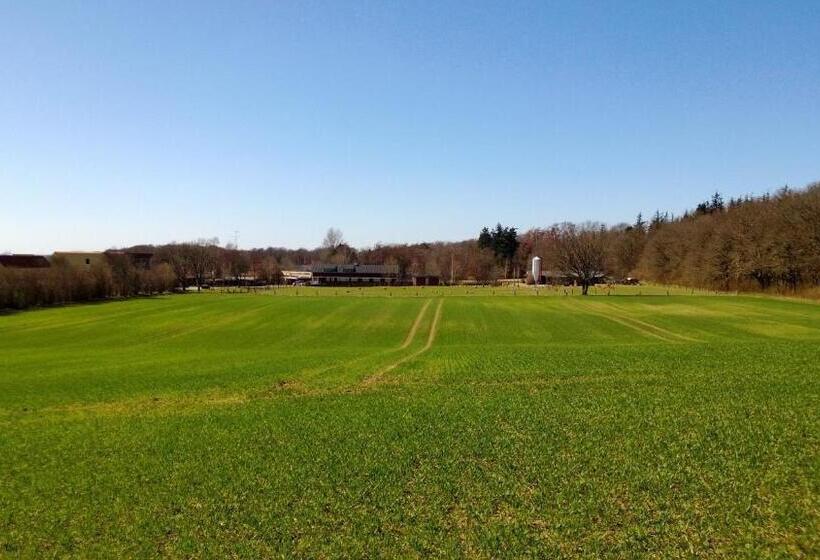 Fjelsted Skov Hotel & Konference