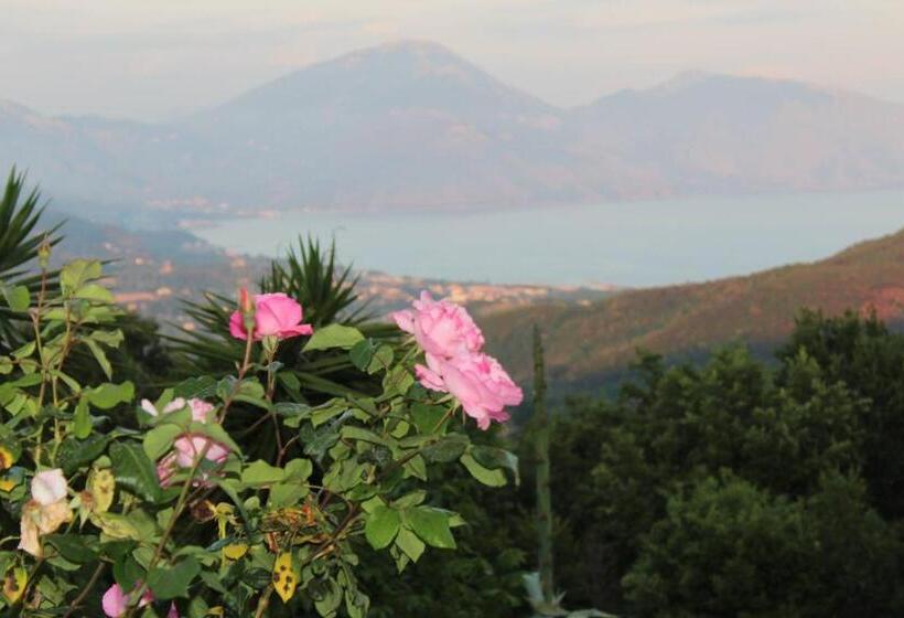 فندق Il Rifugio Del Contadino Art & Nature