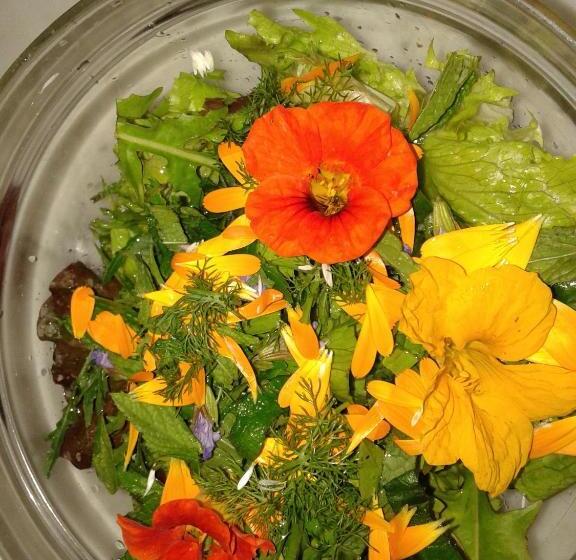 فندق Il Rifugio Del Contadino Art & Nature