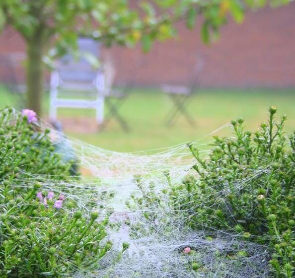 호텔 Løgumkloster Refugium