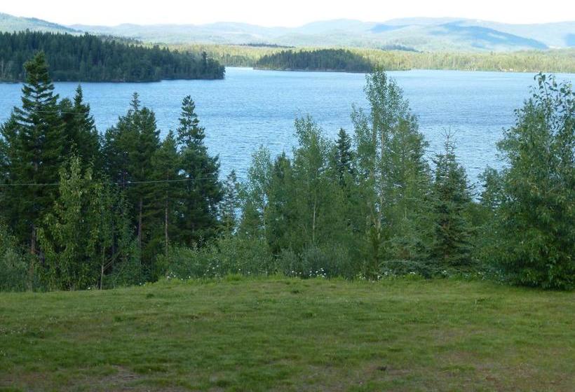 Little Black Bear Lodge/b&b