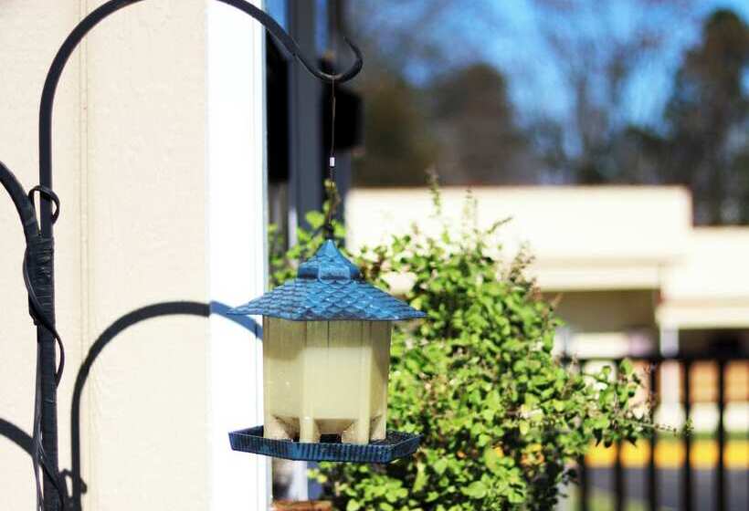 فندق على الطريق Royal Inn   North Augusta   Home Of The Masters   Augusta Downtown