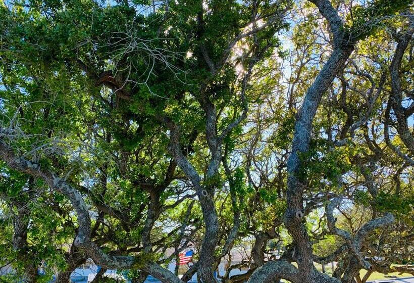 Мотель The Beacon