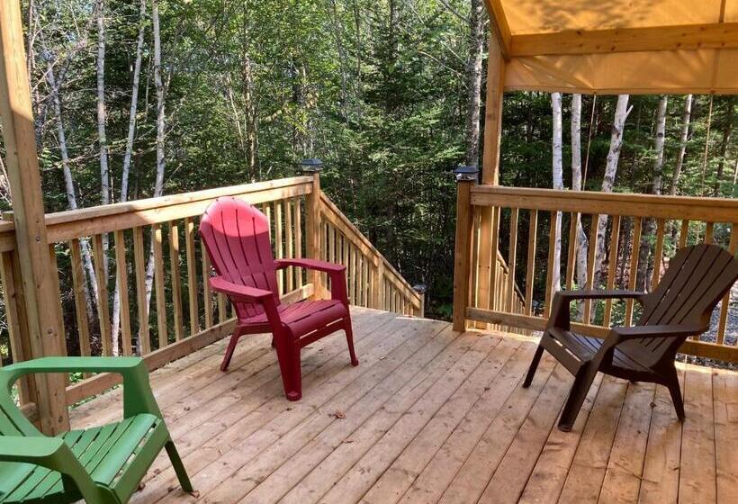 بنسيون Dominion Hill Country Inn