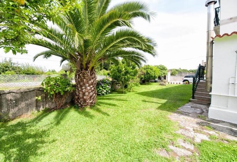 بنسيون Hostal Devesas