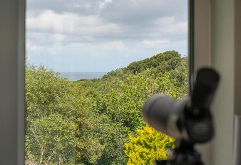 بنسيون Killoran House