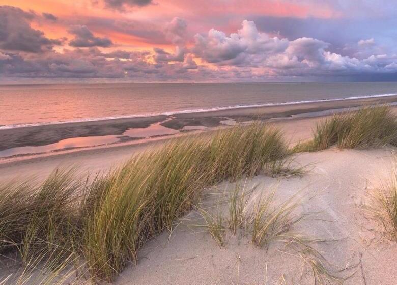 بنسيون Klitgaarden Henne Strand