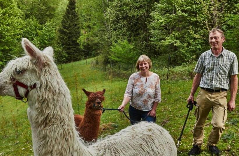 ペンション Kräuterbaude