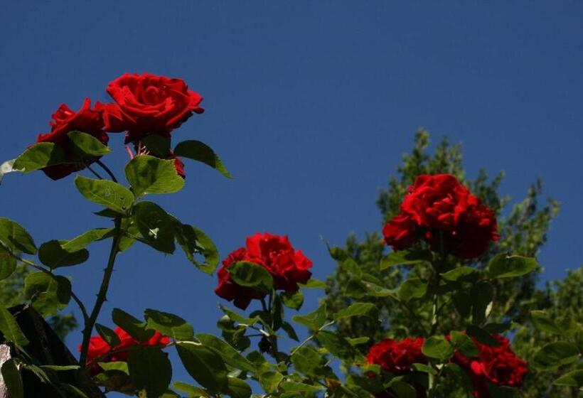 ペンション Kräuterbaude