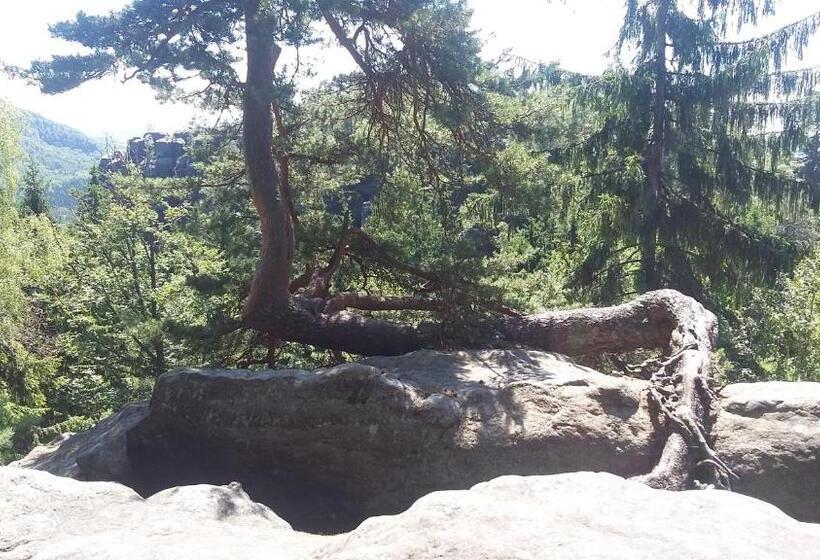 ペンション Kräuterbaude