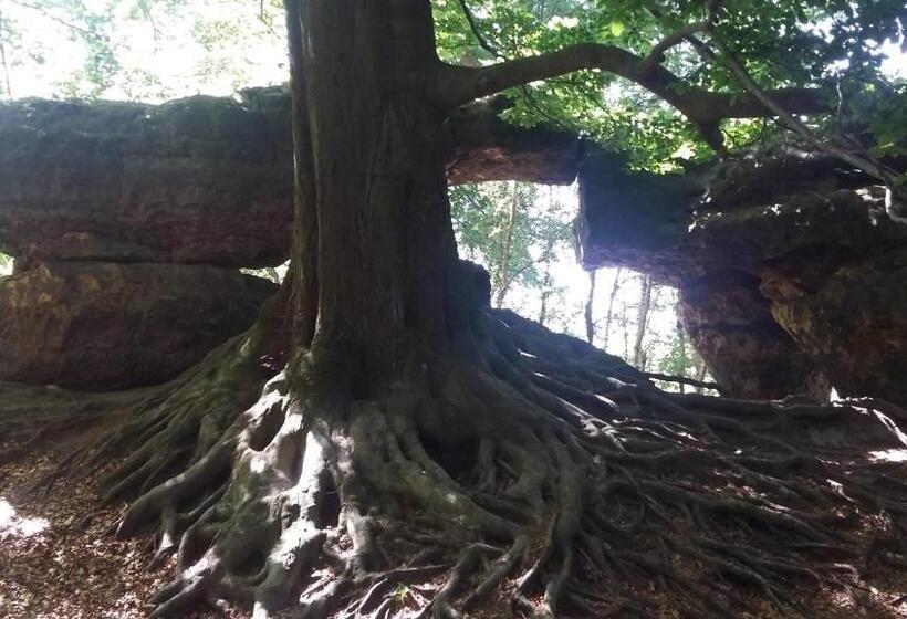 ペンション Kräuterbaude