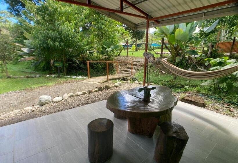 膳宿费 Yejos Jungle Lodge