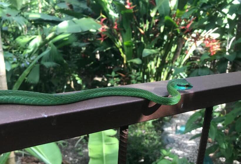 膳宿费 Yejos Jungle Lodge