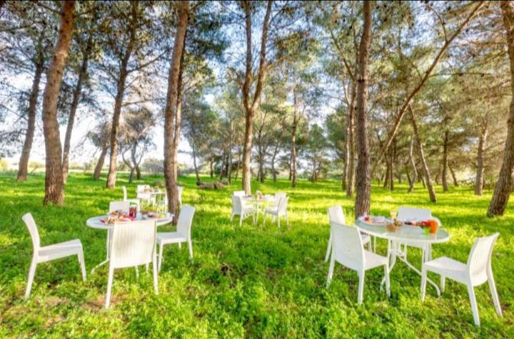 منتجع A Casa Noscia   Bb San Pietro In Bevagna Charming House