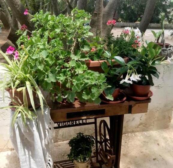 منتجع A Casa Noscia   Bb San Pietro In Bevagna Charming House