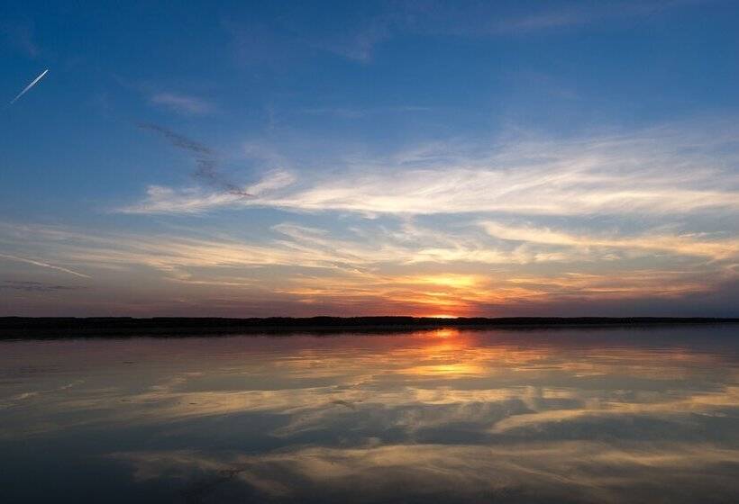 Yale Manor B&b & Yurt Glamping