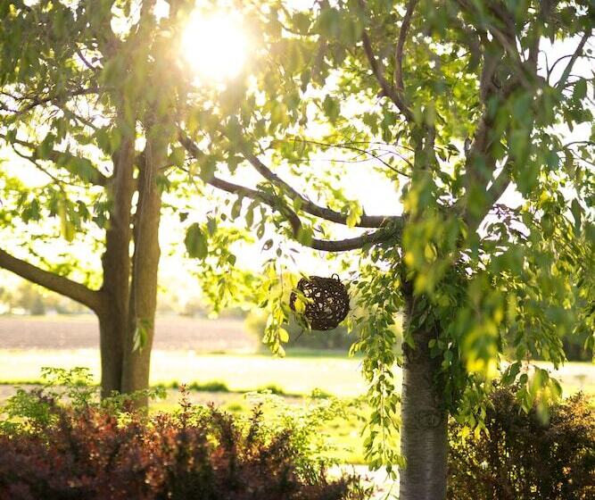 Yale Manor B&b & Yurt Glamping