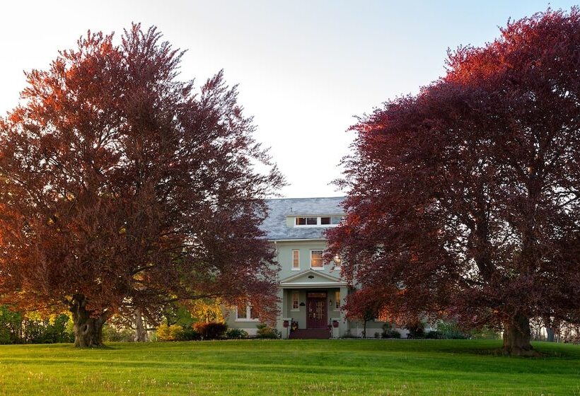 Yale Manor B&b & Yurt Glamping