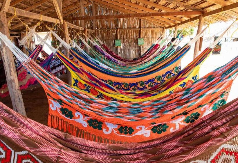 Общежитие Rancheria Utta