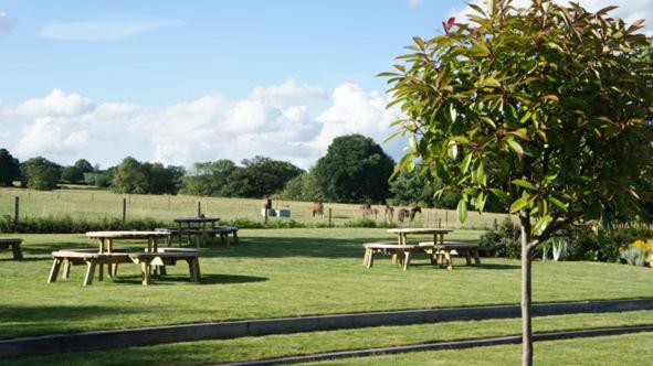 فندق صغير The Bull At Great Totham Limited