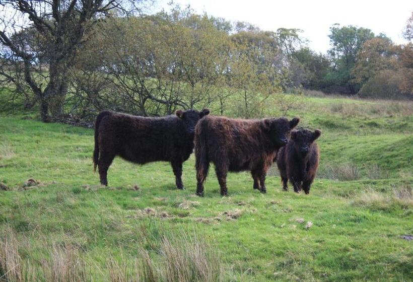 Общежитие The White Horse Inn Bunkhouse