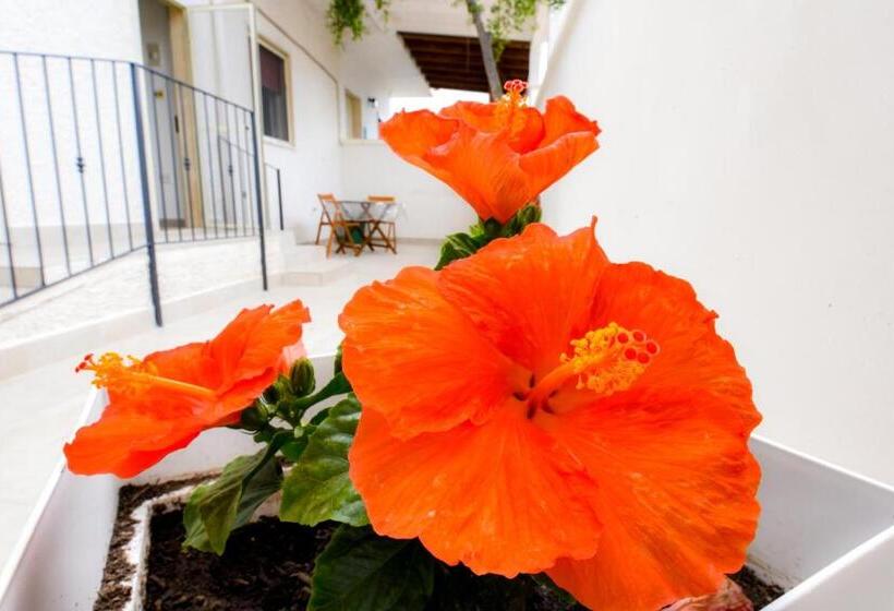 B&b Macchia Mediterranea