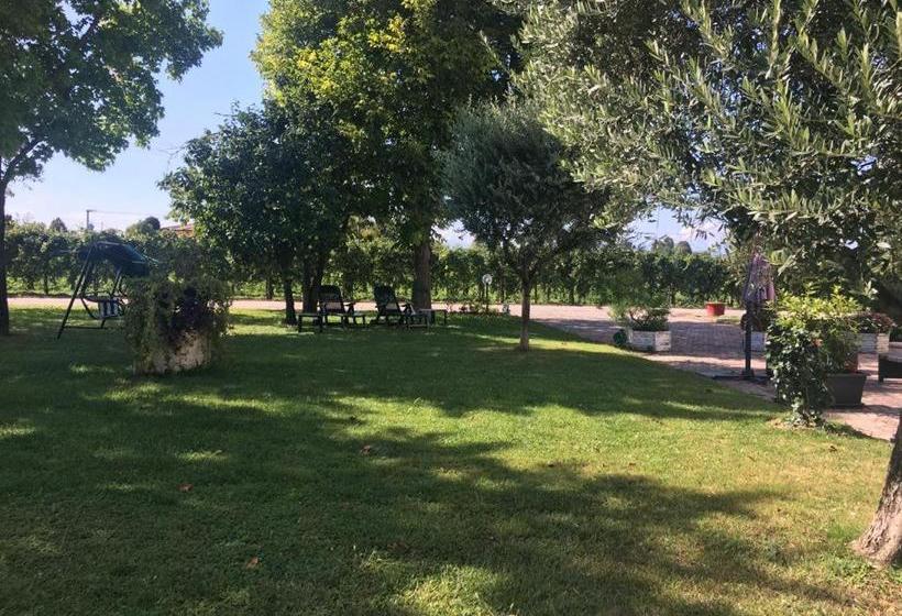 ベッドアンドブレックファースト Ca Vittoria