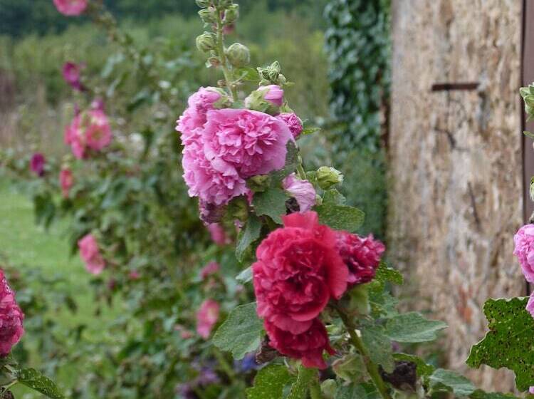 住宿加早餐 Chambres D Hôtes Le Chateau Rouge