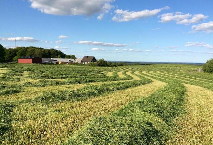 Bed and Breakfast Cocoon Meetings