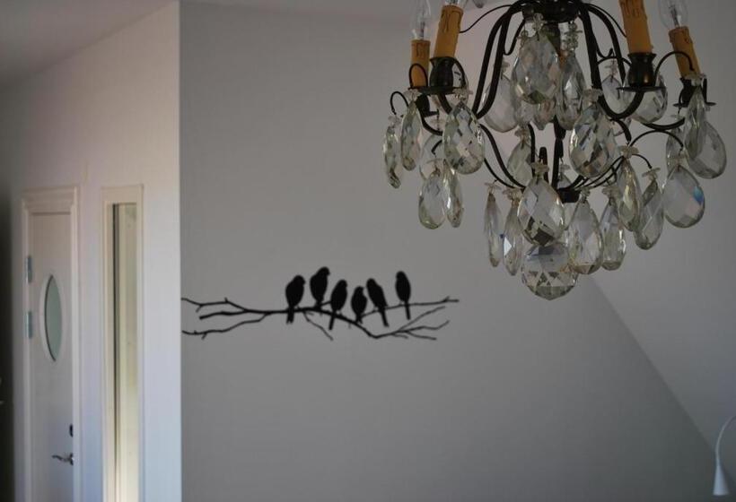 Bed and Breakfast Cocoon Meetings