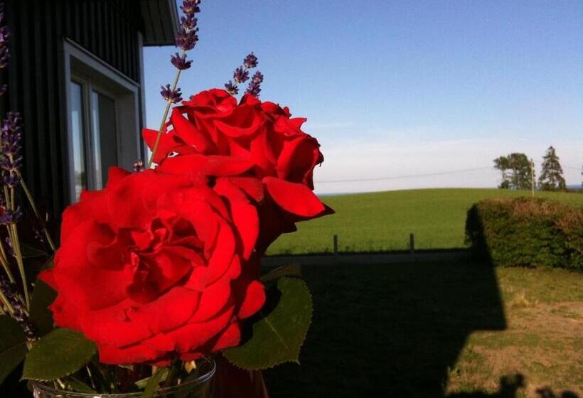 Bed and Breakfast Cocoon Meetings