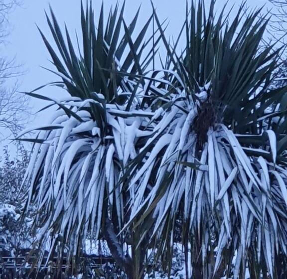 مبيت وإفطار La Bastide Du Moulin   Mont St Michel