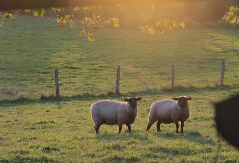 ベッドアンドブレックファースト La Blanchisserie