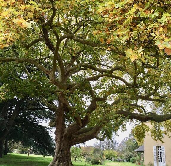 Bed and Breakfast La Maison Haute