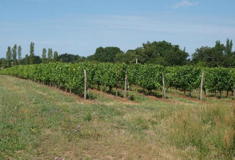 Bed and Breakfast Le Logis Du Livier