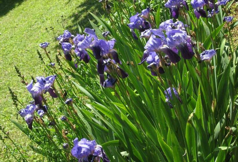 ベッドアンドブレックファースト Les Jardins De La Grange