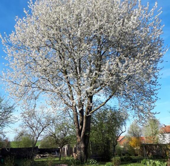 ベッドアンドブレックファースト Les Jardins De La Grange