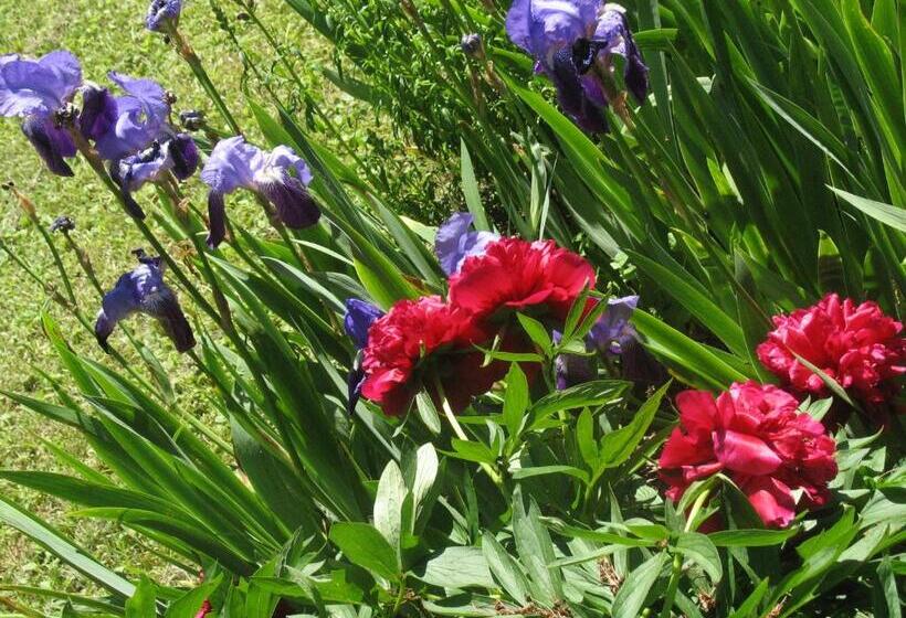 ベッドアンドブレックファースト Les Jardins De La Grange