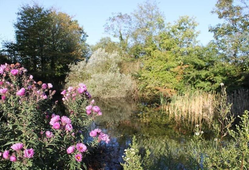 Bed and Breakfast Les Roberderies