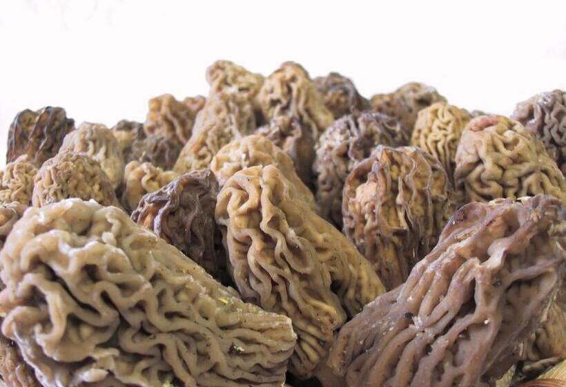 צימר Locanda Amerigo