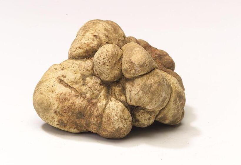 צימר Locanda Amerigo