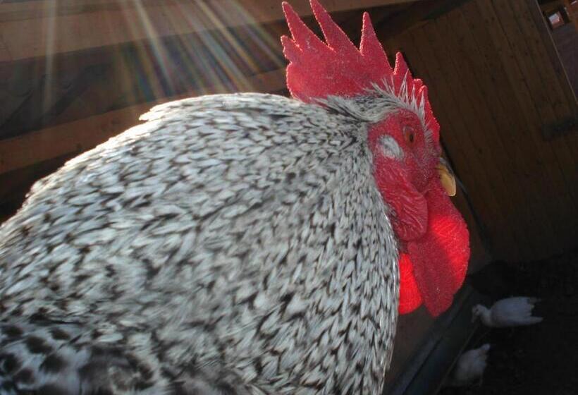 צימר Locanda Amerigo