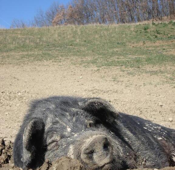 צימר Locanda Amerigo