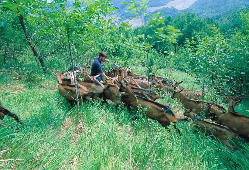 צימר Locanda Amerigo