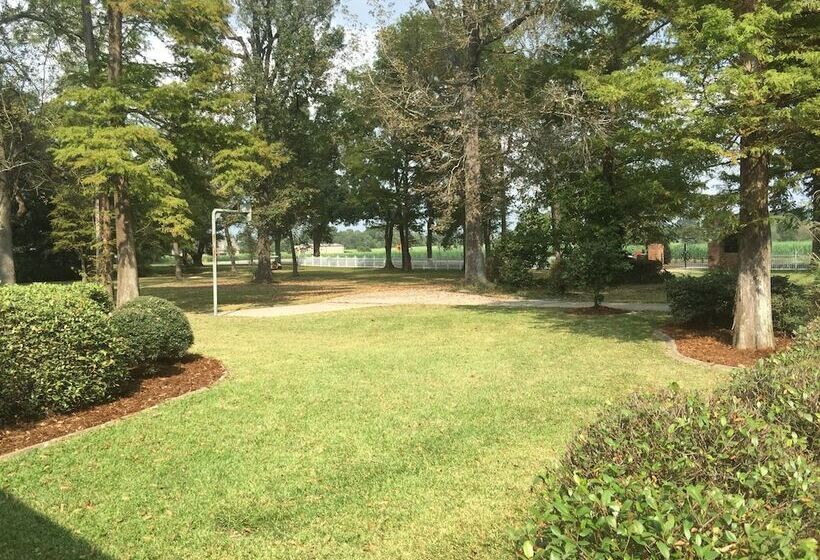 مبيت وإفطار Louisiana Cajun Mansion