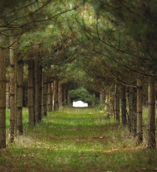 住宿加早餐 Manoir Du Bois Noblet