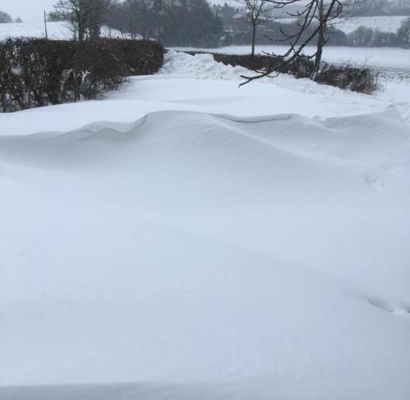 צימר Meerkat Manor