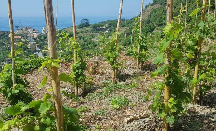 צימר Il Soppalco