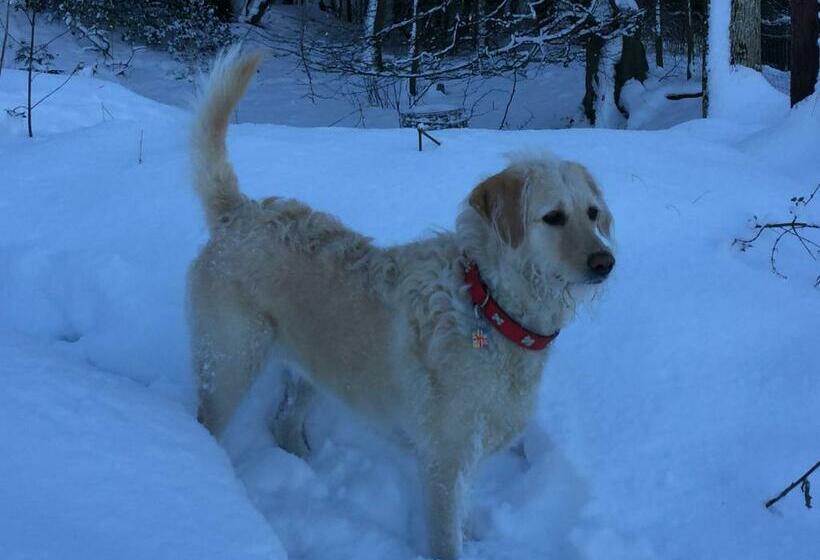 ベッドアンドブレックファースト Plas Esgair