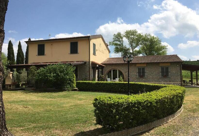 Bed and Breakfast Podere Il Mulino